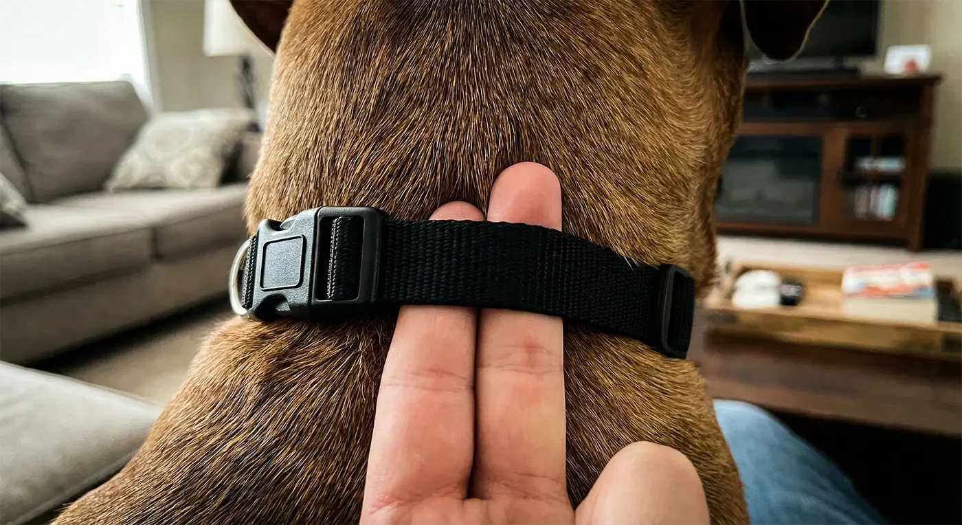 A close-up demonstration showing two fingers placed vertically between a dog's neck and the SnnyPet Q12 bark collar strap to ensure a correct and comfortable fit.